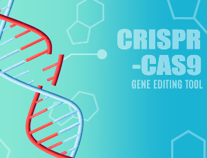 CRISPR/Cas9- sprzymierzeniec czy przeciwnik celów zrównoważonego rozwoju?